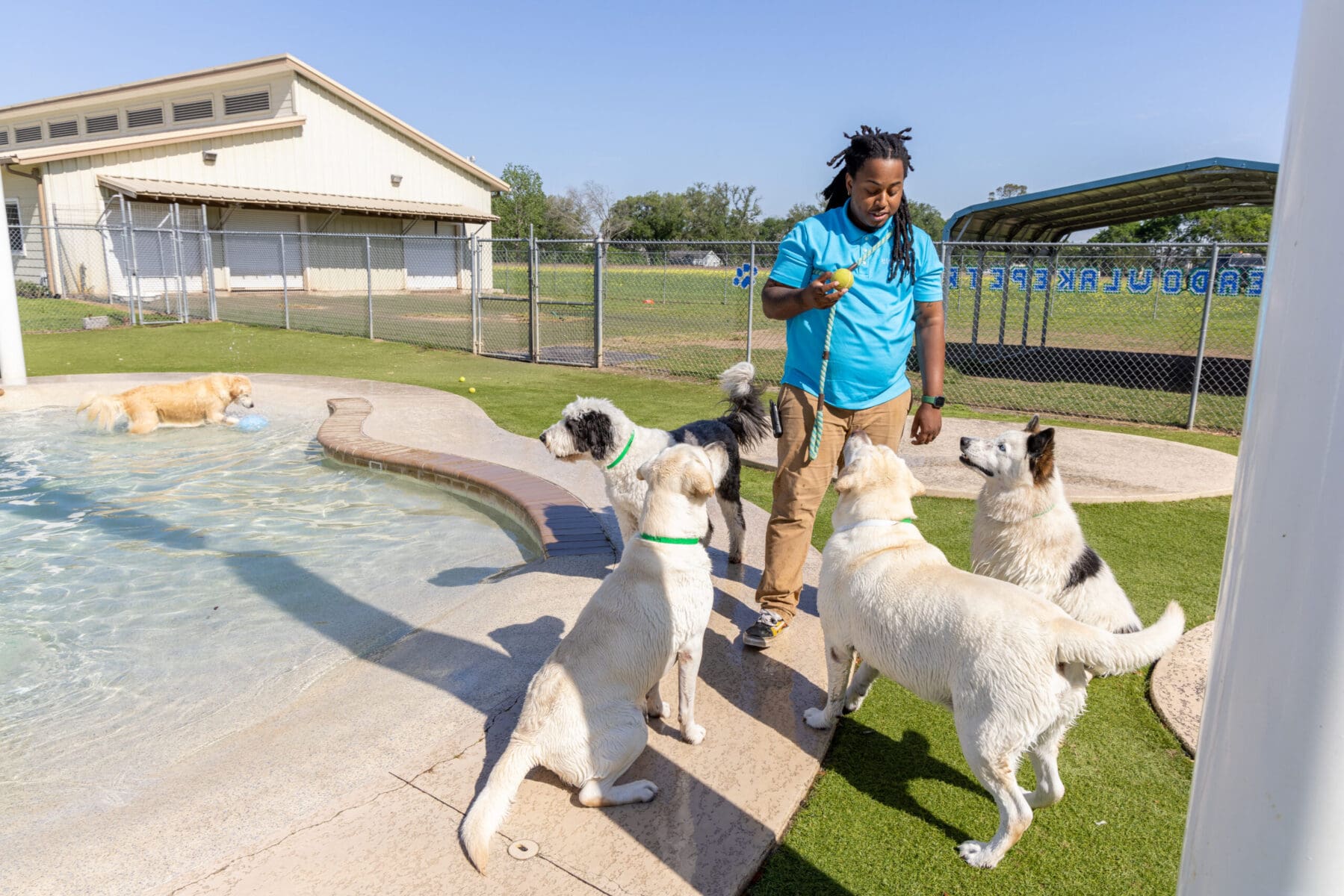 Perfect Dogs Day Out Dog Daycare in Houston Meadowlake Pet Resort