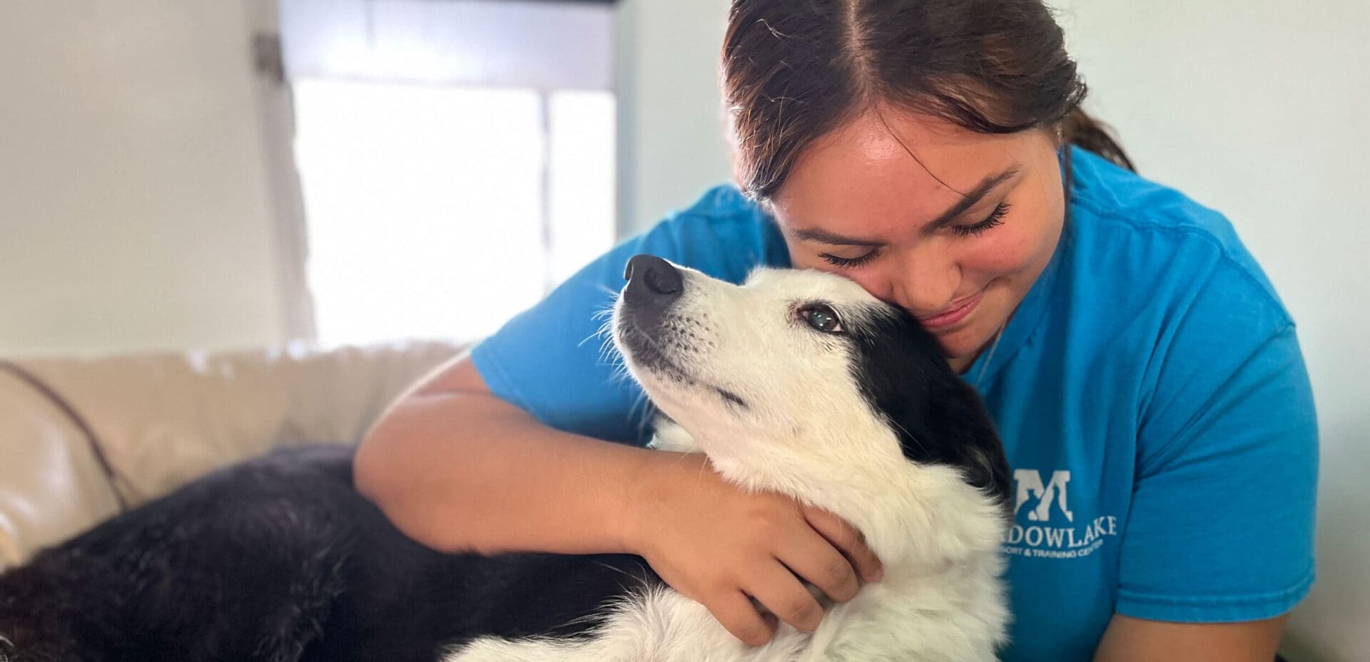 Award Winning Dog Boarding in Houston Meadowlake Pet Resort